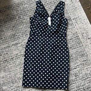 Polka Dot Sleeveless Dress J crew NWT